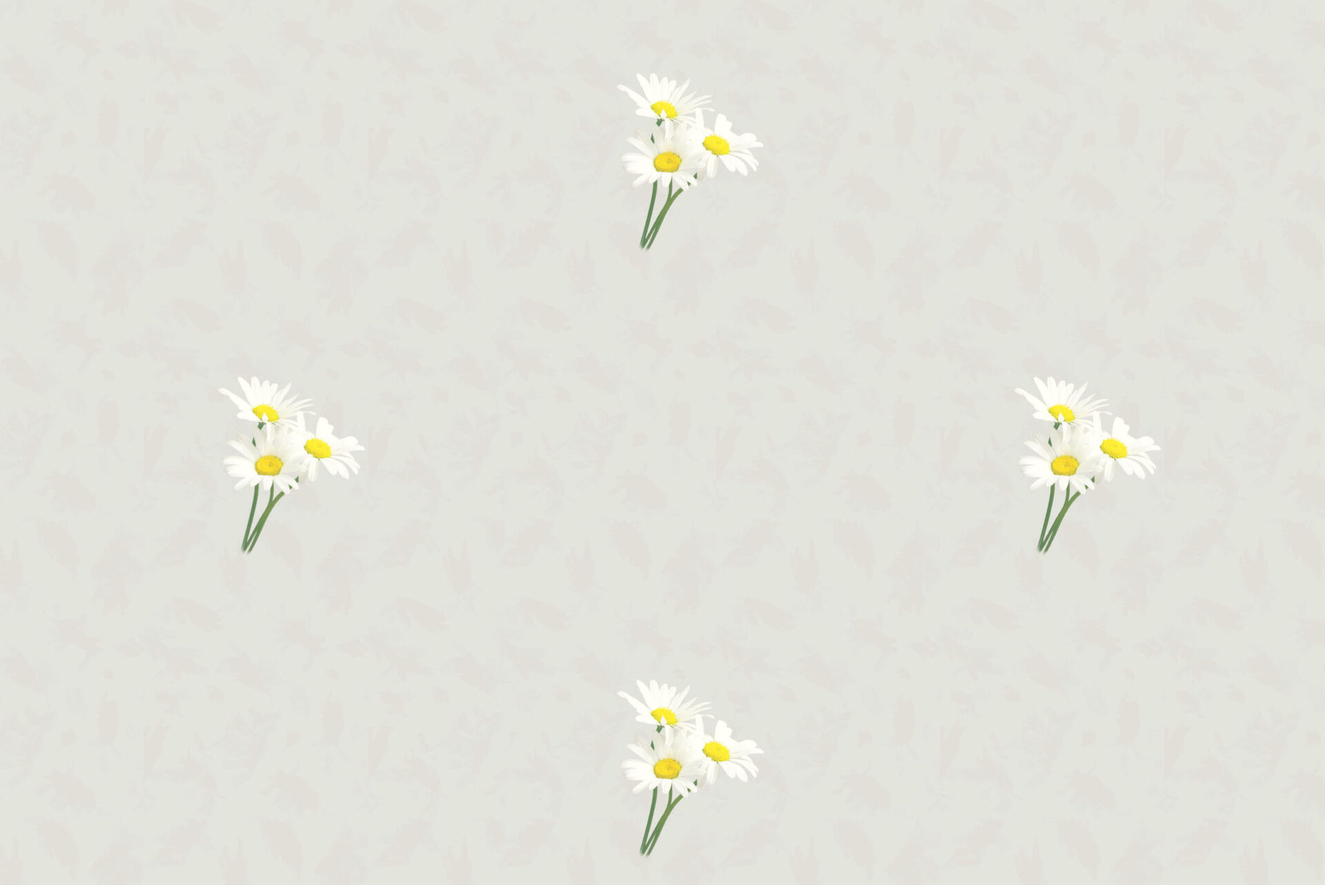 NYFAN_Digital_CHAMOMILE_1623-1920×1282